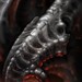 Art Galleries - Bio embers - 52737